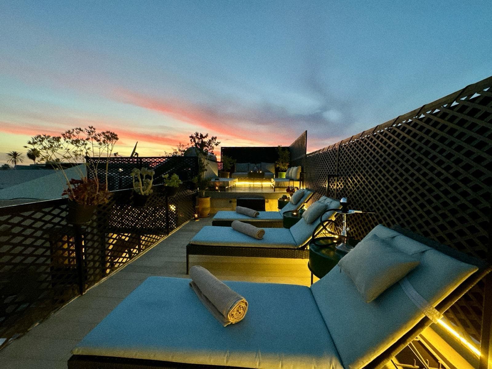 Copia di WhatsApp Image 2026-03-13 at 09.43.56 (1)